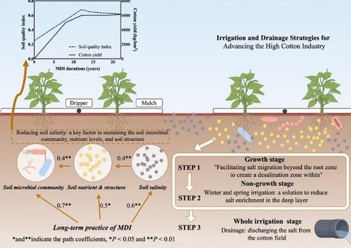 石河子大學王振華教授團隊榮獲兵團自然科學一等獎 彰顯自然科學研究與試驗發展的卓越成效